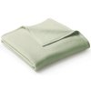 Jednokolorowy koc Biederlack Uno Cotton 150x220 - zielony jasny