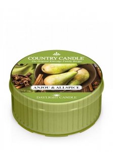 Country Candle - Anjou & Allspice - Daylight (35g)