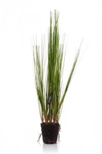 Roślina sztuczna - trawa Aluro