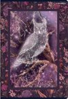 Zeszyt A5 60k linia margines FAIRYTALE 400182441 TOP 2000
