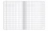 Zeszyt A5 60k kratka margines BIRDS EYE 400182435 TOP 2000