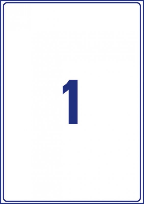 Etykiety kryjące wysyłkowe BlockOut, 199,6x289,1mm L7167B-100 AVERY ZWECKFORM