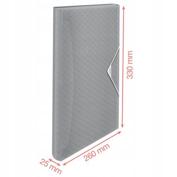 Teczka z przegródkami zielona ESSELTE COLOUR&quot;ICE 626253