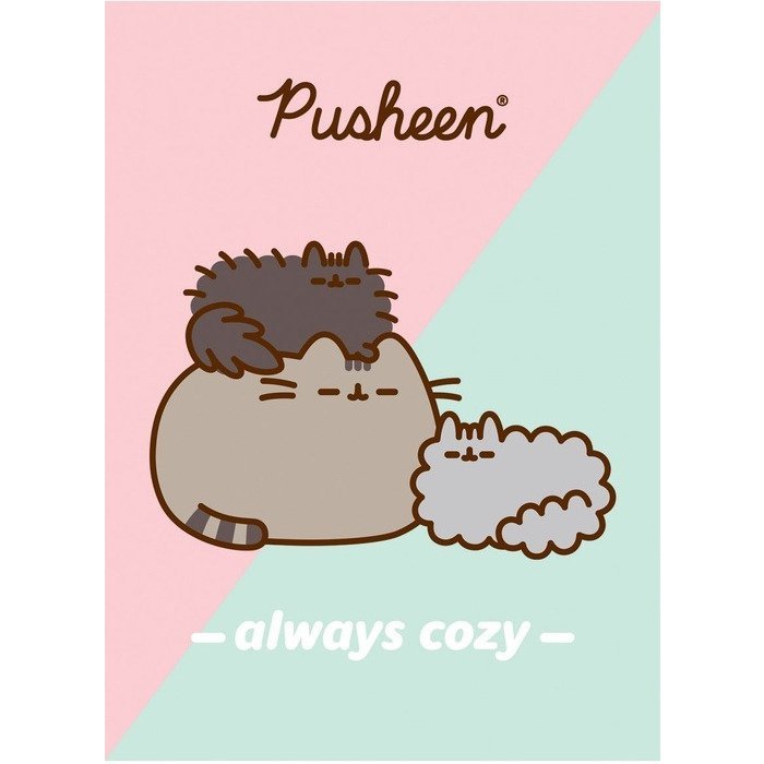 Zeszyt szkolny A4 32 kartki w kratkę laminowany PUSHEEN ST.MAJEWSKI