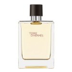 Hermes Terre d'Hermes Eau de Toilette 100 ml - Tester