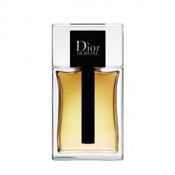 Christian Dior Homme 2020 Eau de Toilette 100 ml - Tester