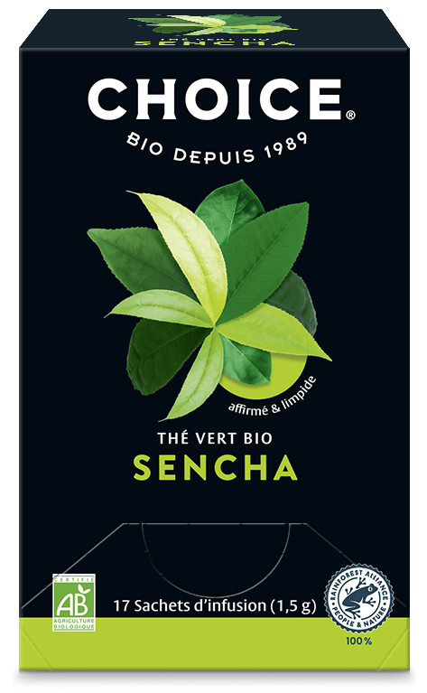 Choice SENCHA