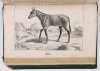 CARDINI F[rançois Joseph] - Dictionnaire d'hippiatrique et d'équitation, ouvrage ou se trouvent réunies toutes les connaissances hippigues. Deuxiéme édition, revue, corrigée, , augmentée de la moitié et ornée de 70 figures. T. 1-2.