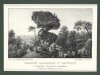[KRYNICA]. Kamień Djabelski w Krynicy w obwodzie Sandeckim od północy. Litografia form. 11,2x19,2 cm