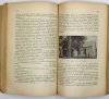 SPRAWOZDANIE z działalności Tow. Szkoły Ludowej za rok 1910. Dwudziestolecie Tow. Szkoły Lud. 1891 1910.