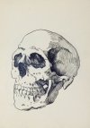 [NAUKA rysunku postaci ludzkiej]. Notatnik-szkicownik Alfonsa Michałowskiego z wczesnych lat 30. XX w. z odręcznie spisanym po niemiecku kursem portretowania.