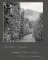 [OGRODNICTWO na terenach Tyrolu - fotografie sytuacyjne i widokowe].