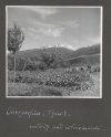 [OGRODNICTWO na terenach Tyrolu - fotografie sytuacyjne i widokowe].
