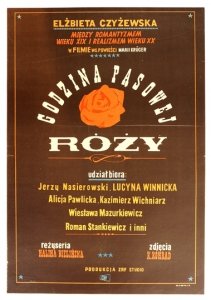 HIBNER Maciej - Godzina pąsowej róży. [1963].