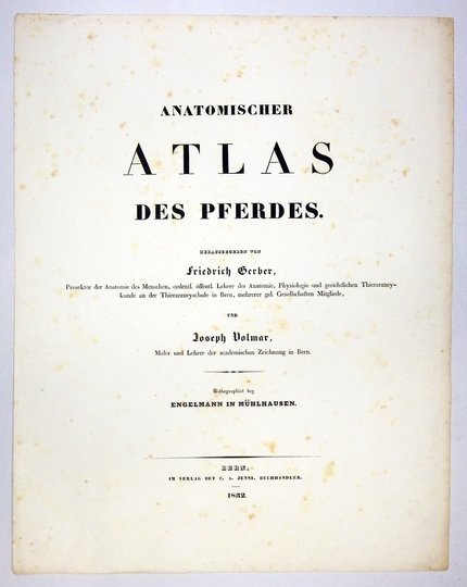 GERBER Friedrich, VOLMAR Joseph - Anatomischer atlas des Pferdes. Hsrg.