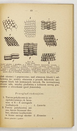 KLUCZ do oznaczania zwierząt kręgowych Polski. Z. 1-2. Wyd. II całkowicie przerobione i powiększone.{|br /|}Z. 1: NIEZABITOWSKI Edward Lubicz — Klucz do oznaczania zwierząt ssących Polski{|br /|}Z. 2: BAYGER J[an] A[leksander] — Klucz do oznaczania płazów