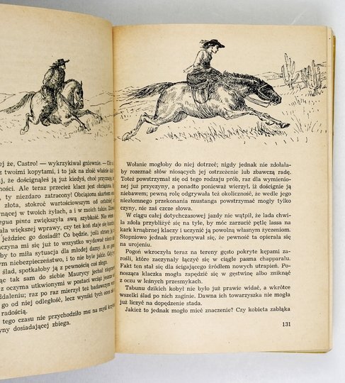 REID Mayne - Jeździec bez głowy. Przełożył Zygmunt Glinka. Okł. i ilustr. Stanisława Töpfera