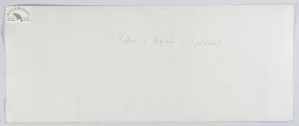 [KOPICE - Schloss Koppitz. Oberschlesien - fotografia widokowa]