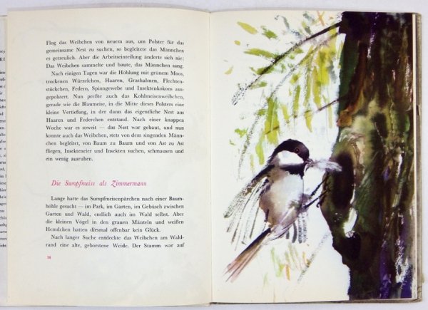 LEWANDOWSKA Cecylia - Federballchen. Das Jahr der Meisen. Illustrationen von Janusz Grabiański.