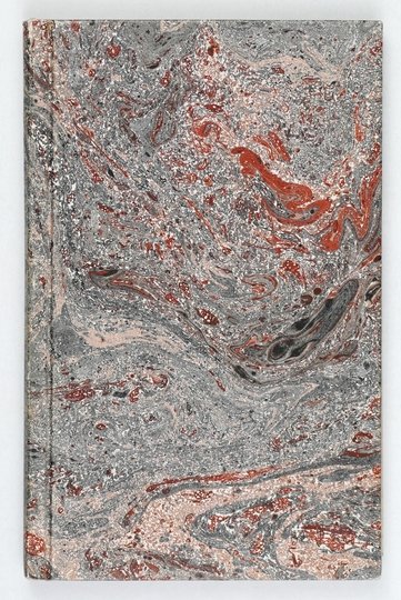 PRZEWODNIK po Poznaniu i okolicy z illustracyami i planem miasta.