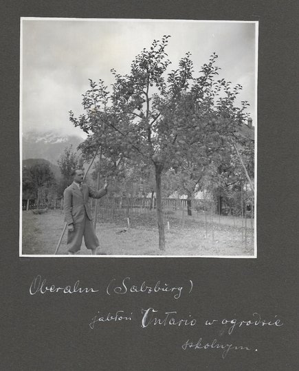 [OGRODNICTWO na terenach Tyrolu - fotografie sytuacyjne i widokowe].