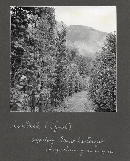 [OGRODNICTWO na terenach Tyrolu - fotografie sytuacyjne i widokowe].