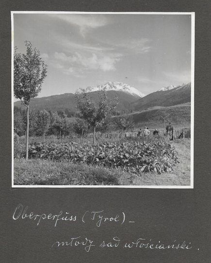 [OGRODNICTWO na terenach Tyrolu - fotografie sytuacyjne i widokowe].