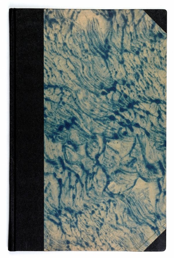 Bitwa pod Wiedniem w roku 1683. Wyimek z czasopisma "Ateneum" R. 18, t. 2, z. 3: VI 1893