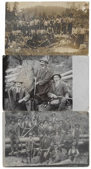 [SIEDMIOGRÓD - prace przy wyrębie lasu - fotografie sytuacyjne].