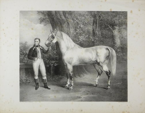 GERBER Friedrich, VOLMAR Joseph - Anatomischer atlas des Pferdes. Hsrg.