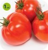 Pomidor szczepiony Cupidissimo