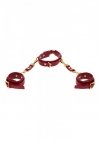 D-Ring Collar and Wrist Cuffs Red