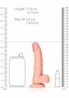 Curved Realistic Dildo  Balls  Suction Cup - 6/ 15,5 cm