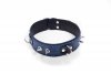 Obroża- Collar Crazy Horse Blue, Big