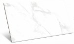 Płytka gresowa ACROPOL WHITE POLISHED 60x120 cm