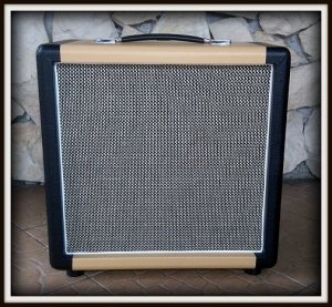 Obudowa Kolumny 1x12 ELEGANCE CREAM & BLACK BRZOZA