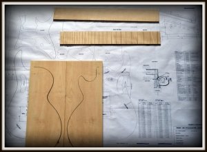 Plan budowy gitary IBANEZ JEM