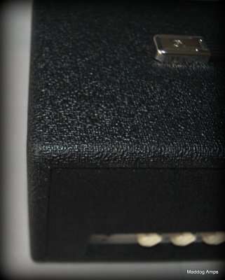 Capricorn Amps - Chaste 18 - 18 W-Clean /Crunch