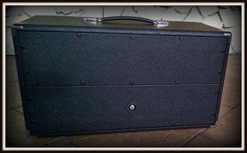  Obudowa do Kolumny 2x10&quot; TOPOLA WŁOSKA STD