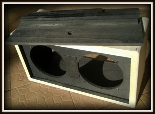 Obudowa do Kolumny 2x10&quot; TOPOLA WŁOSKA UG