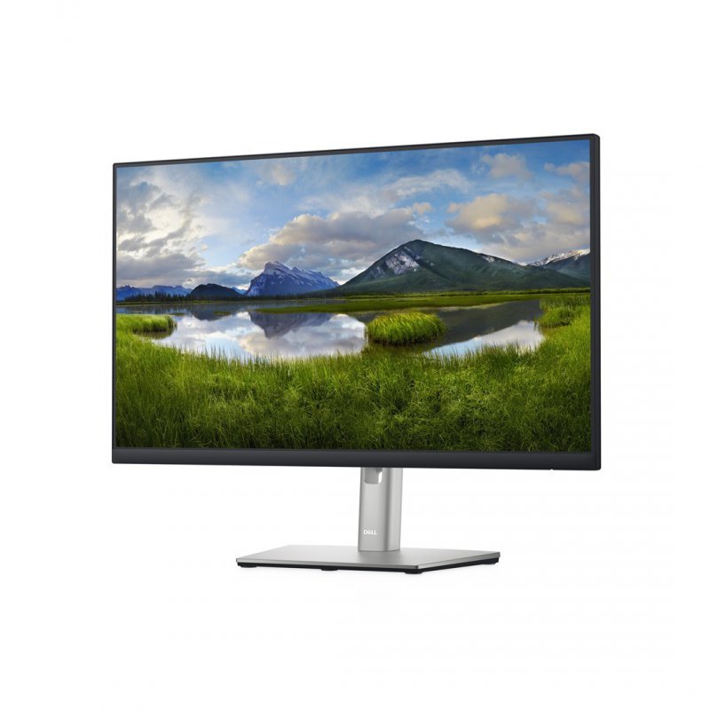 MONITOR DELL LED 24&quot; P2422H