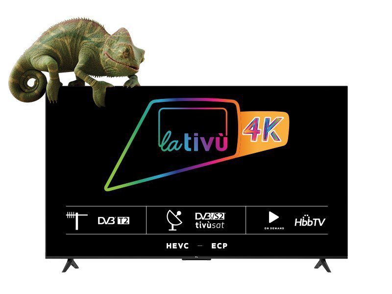 Telewizor 55&quot; TCL 55P635 (FHD HDR DVB-T2/HEVC GoogleTV)