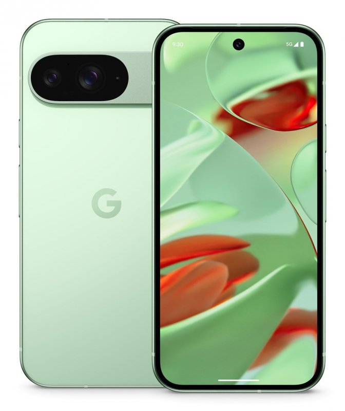 Telefon komórkowy Pixel 9 256GB/Wintergreen Google