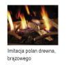 Piec na gaz DRU Trio RCE