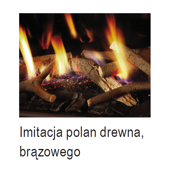 Piec na gaz DRU Trio RCE