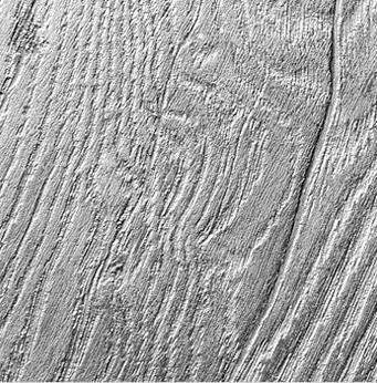 KRONOPOL - panele podłogowe D 3751 Dąb Rembrandt / Massivum