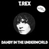 T. Rex - Dandy In The Underworld (LP)