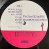 The Colorblind James Experience - Why Should I Stand Up? (LP)