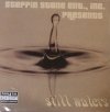 Steppin Stone Entertainment Presents Still Waters (CD)