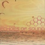 Echoes Of Sound - Need Somebody (Who Needs Me) (12'')